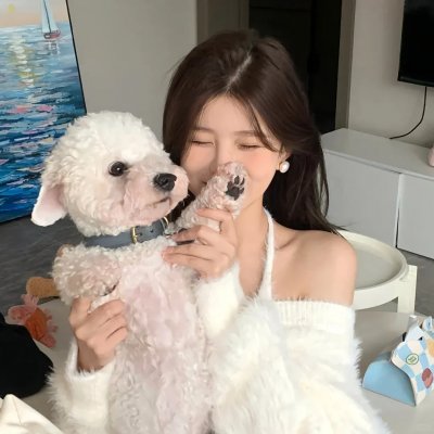 梦墙