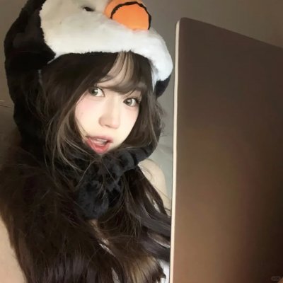 猪猪侠